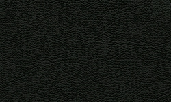Fjords Black NL 101 Nordic Line Leather 